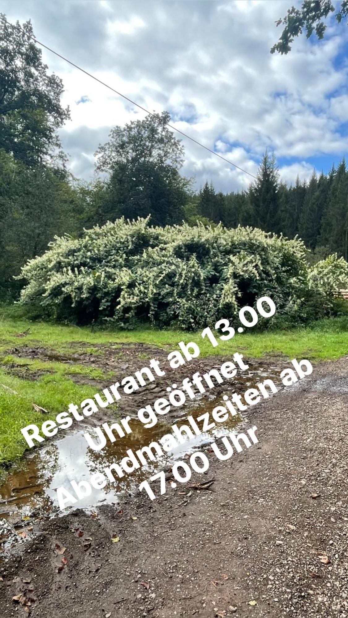 Pension Zur Quelle Deudesfeld Exterior foto